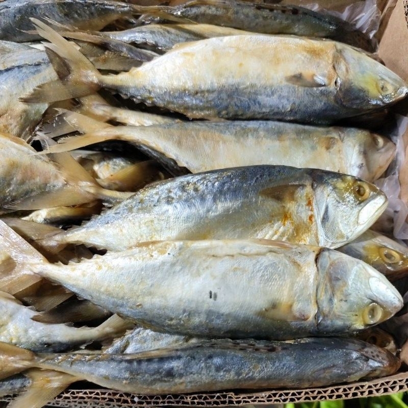 

ikan asin pedo