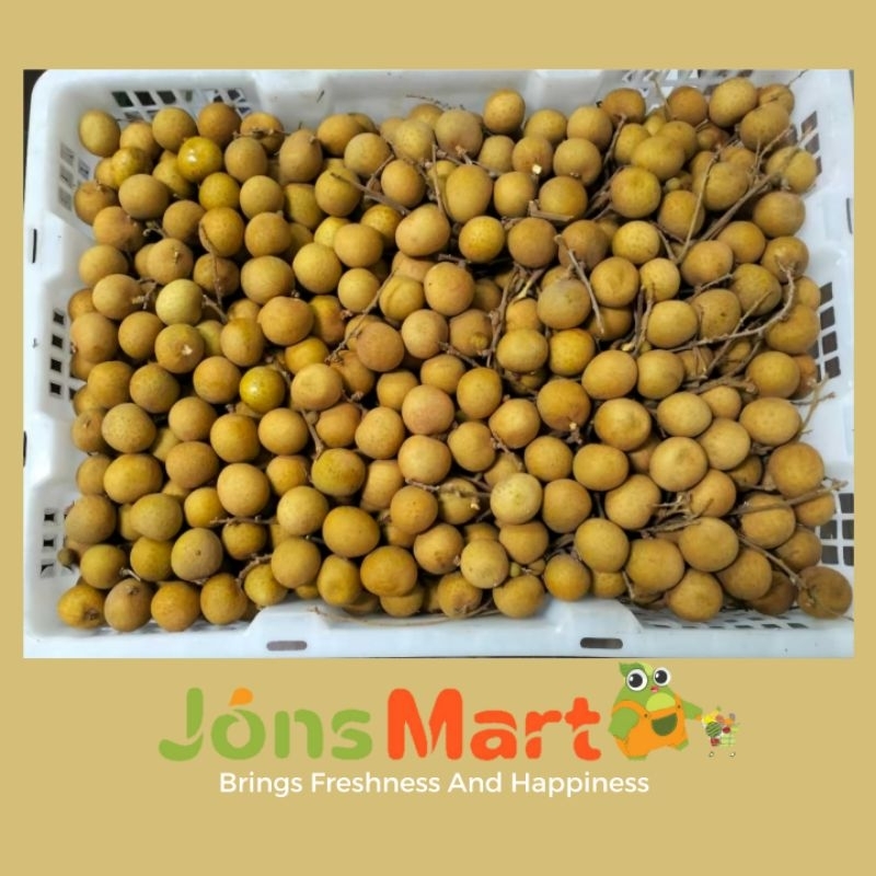 

Jonsmart Buah Lengkeng Kelengkeng Emas Thailand Jumbo perbox 11kg