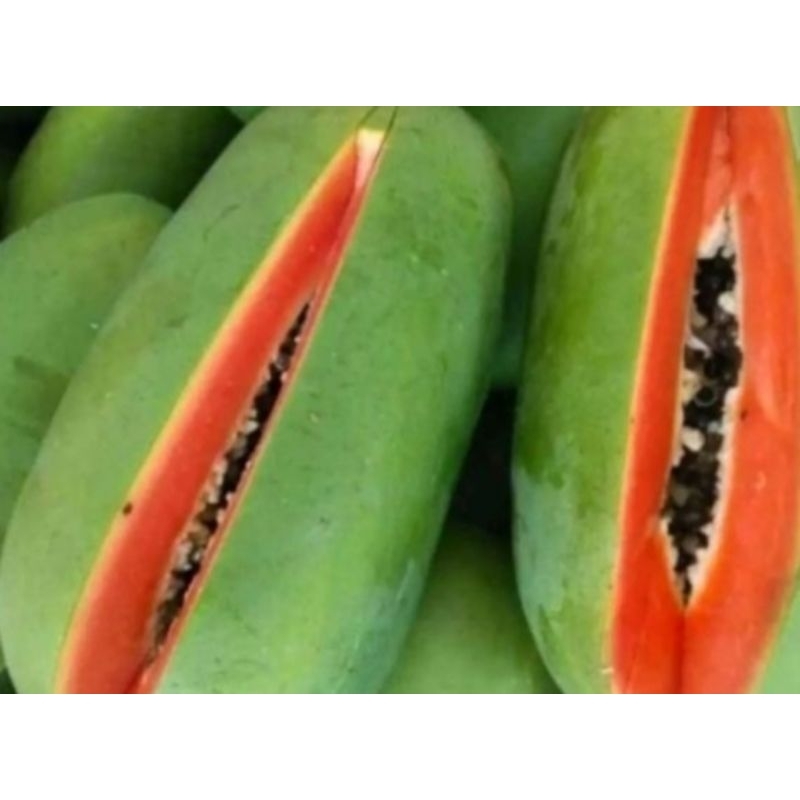 

PEPAYA CALIFORNIA MANIS