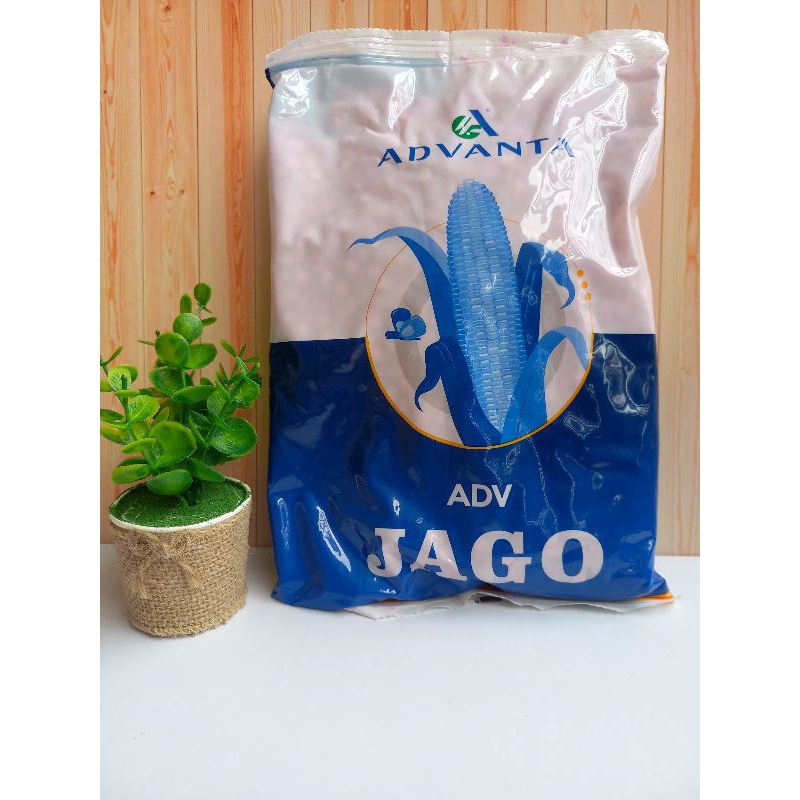 benih jagung adv jago pac raksasa 789 1kg