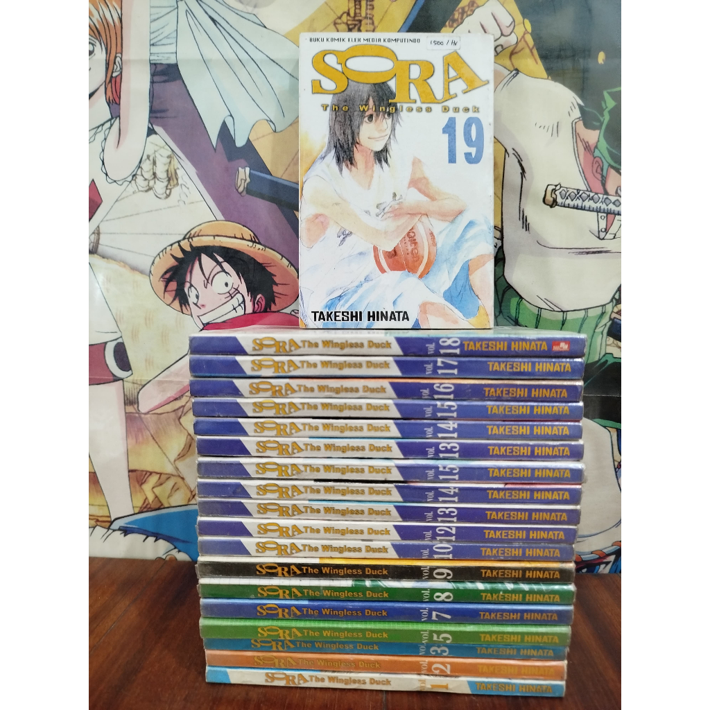 SORA THE WINGLESS DUCK/BEKAS
