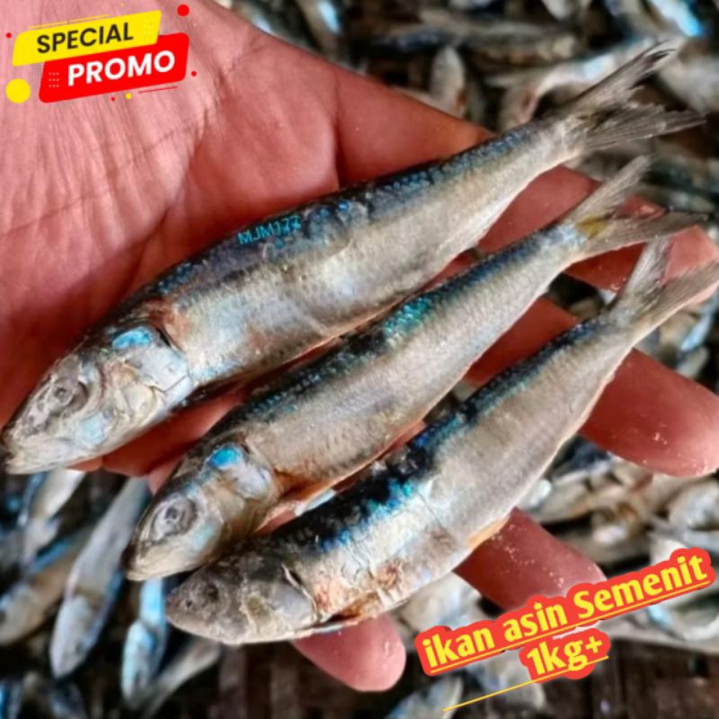 

ikan asin semenit Special superan 1kg