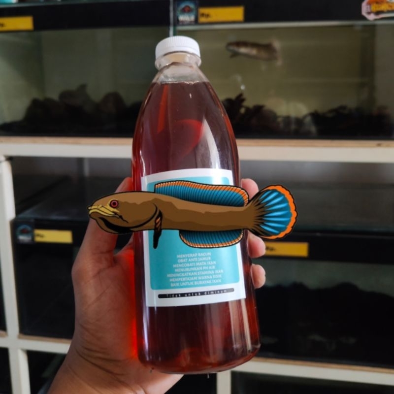 vitamin limbata ukuran jumbo