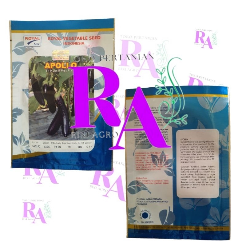 TERONG APOLLO F1 ROYAL SEED 5 GR  TERONG APOLO TERONG UNGU BESAR TERONG LALAP