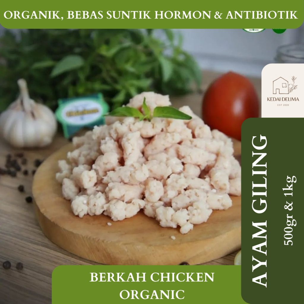 

AYAM GILING BERKAH CHICKEN ORGANIK SERANG CILEGON