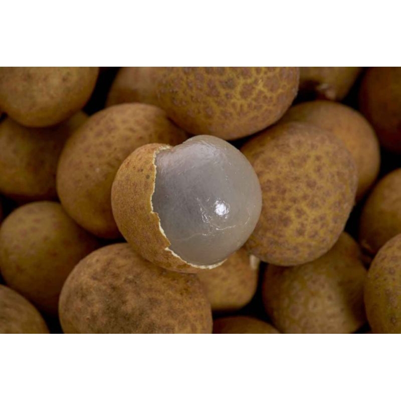 

Buah Kelengkeng