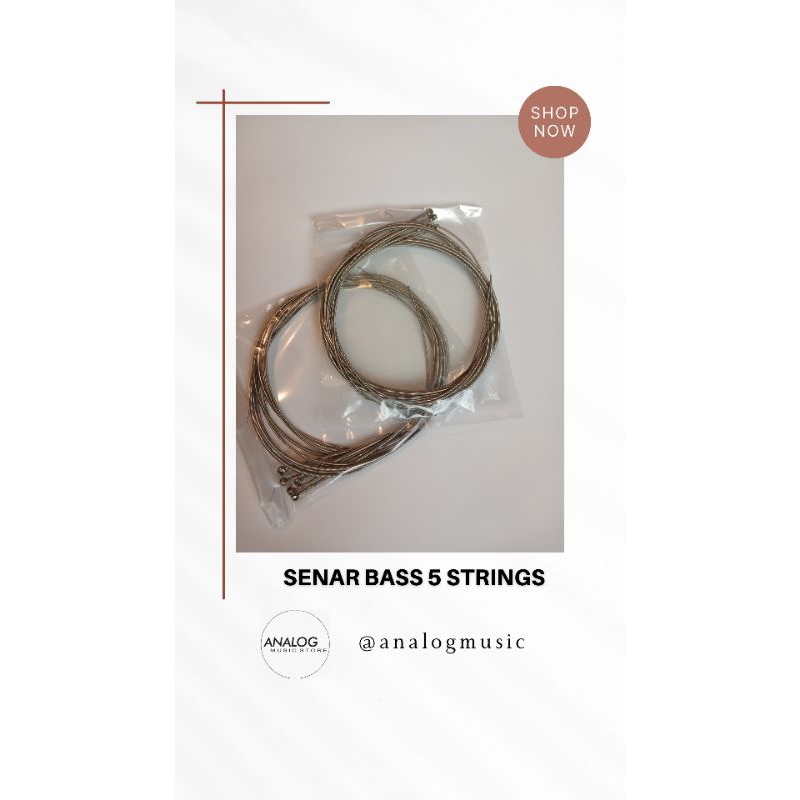 Senar Bass 5 String
