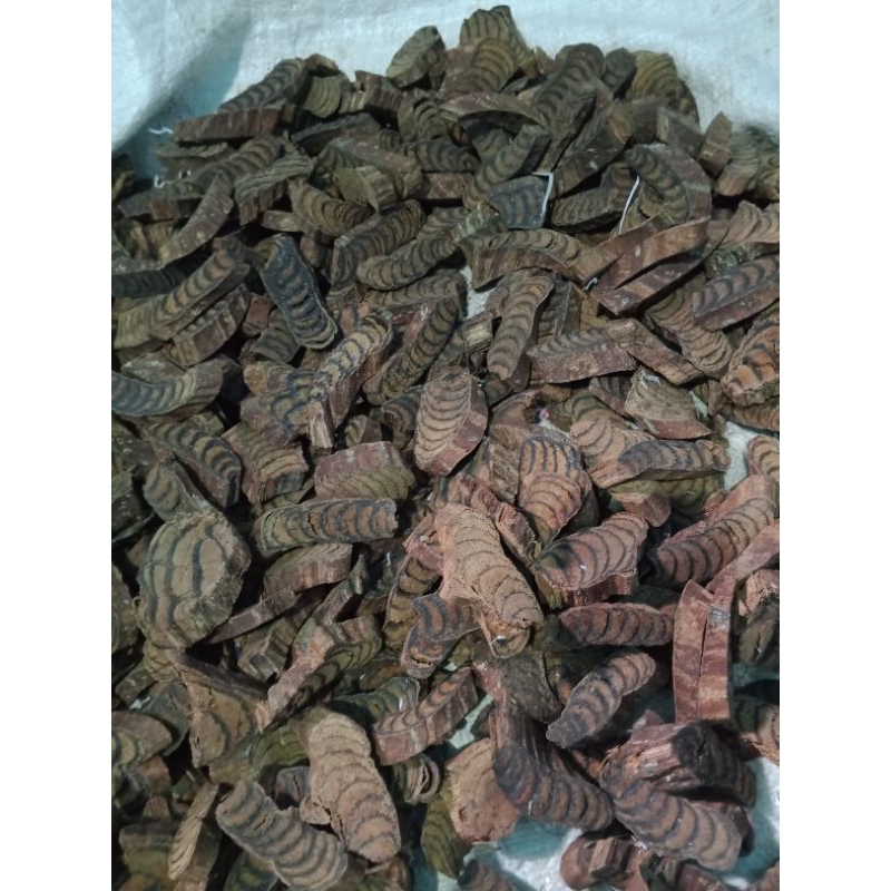 

akarbajakahjixueteng1kg