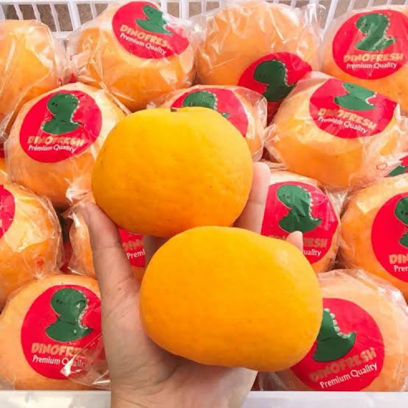 

JERUK MANIS DINO FRESH 500 GR