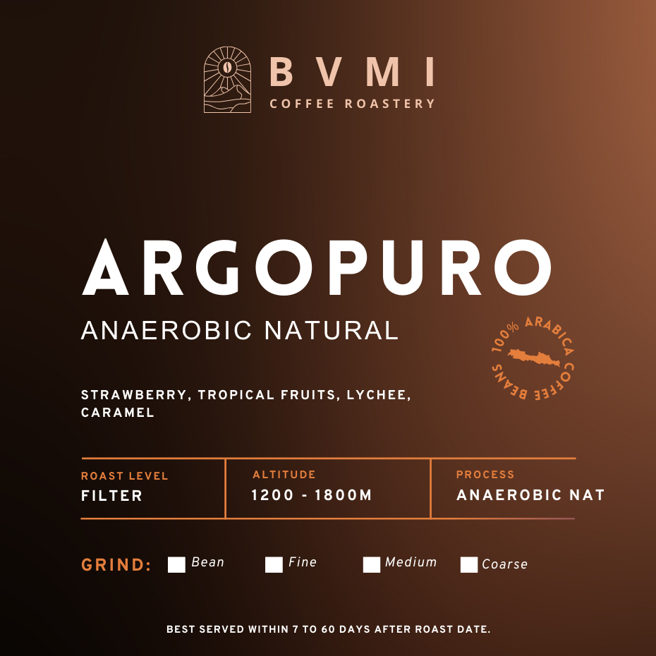 

Bvmi Roastery - Argopuro Anaerobic Natural Arabica Coffee Beans / Biji Kopi Arabika Grade 1 Filter