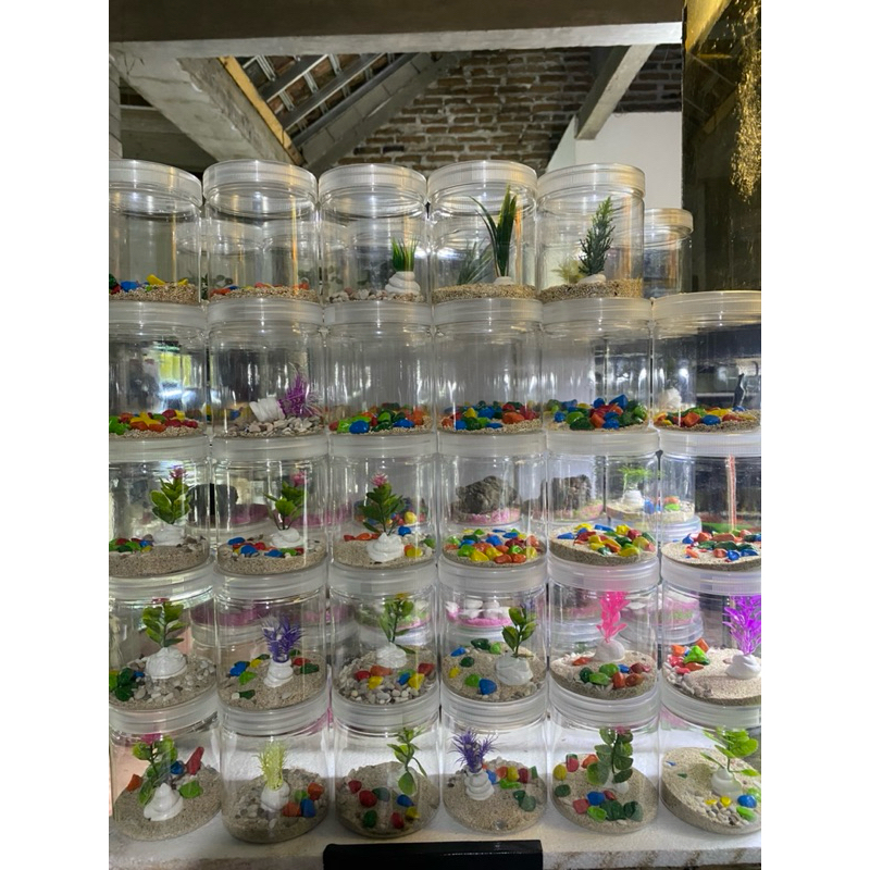 TOPLES HIAS IKAN CUPANG DAN IKAN HIAS KECIL