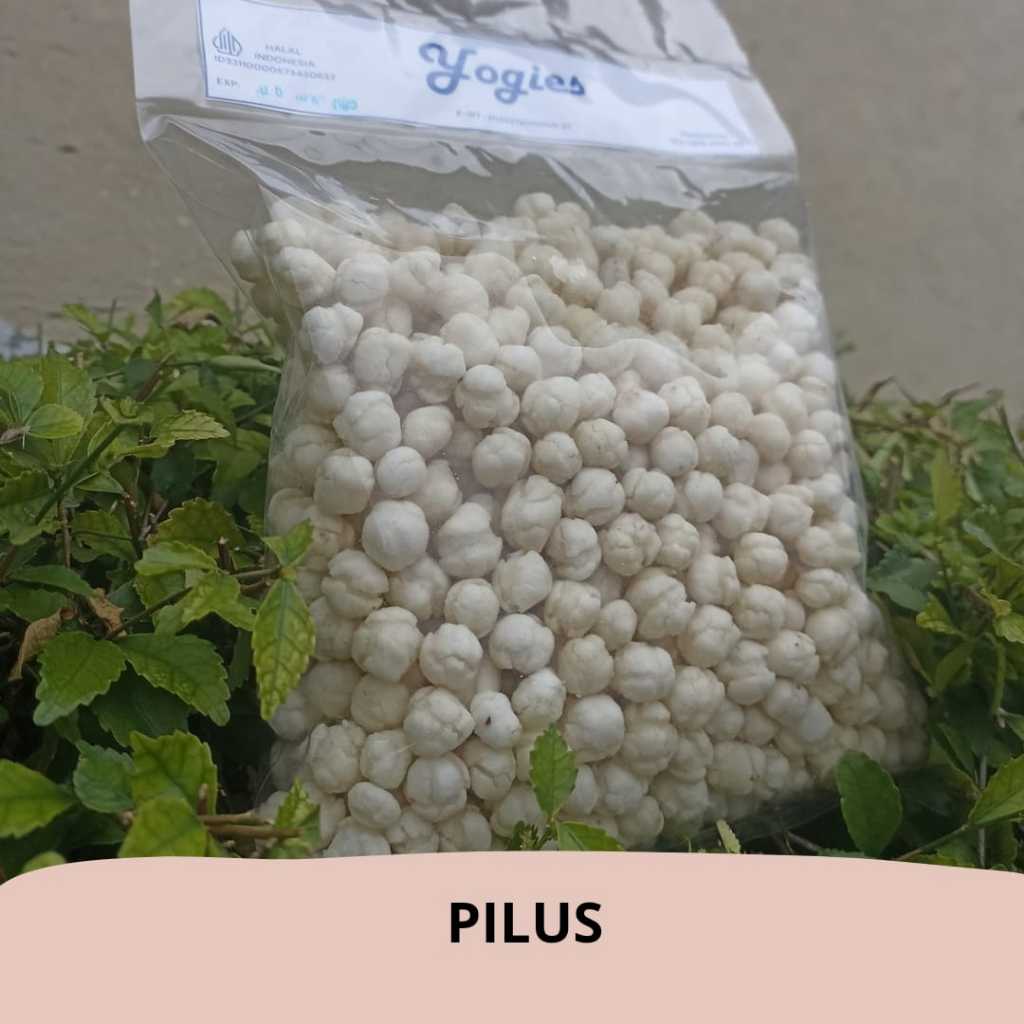

Pilus Kriuk Rasa Premium 400gr: Camilan Penuh Cita Rasa