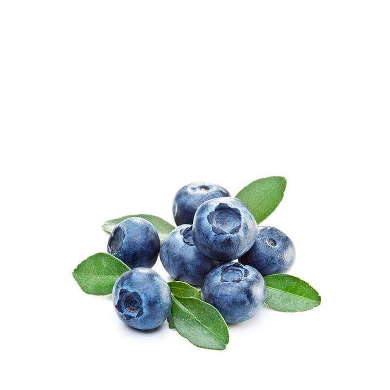 

CAP Blueberry Extra 30ml