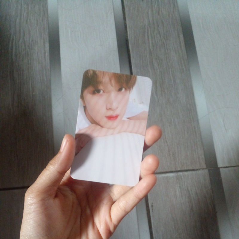 pc haechan bobo regulate