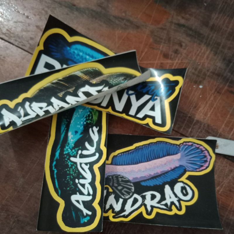 

sticker limbata (isi channa)