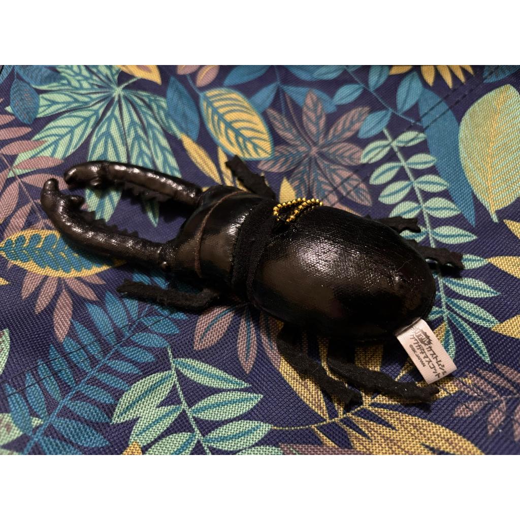 Ganci Kumbang Tanduk Hitam