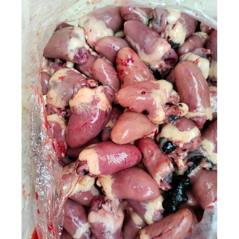 

Jantung Ayam 1 kg