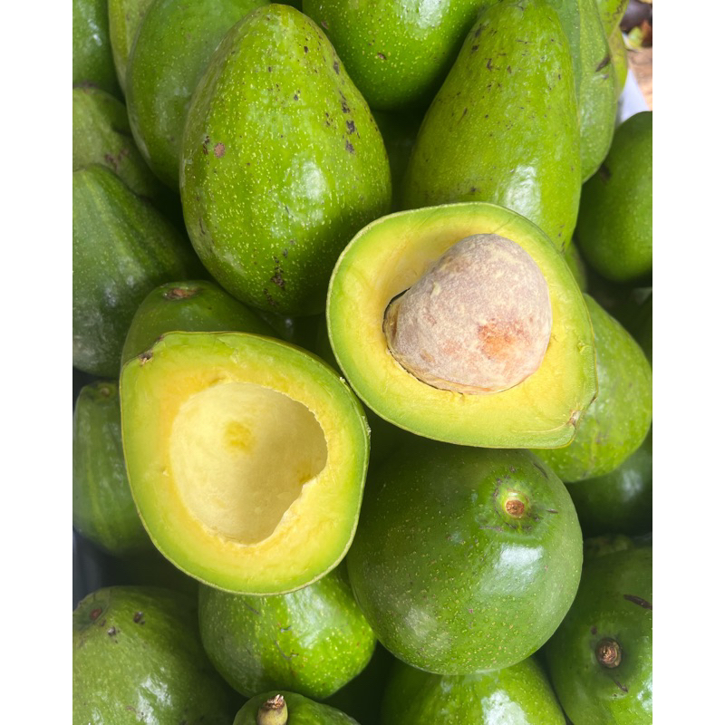 

1 kg Alpukat Mentega