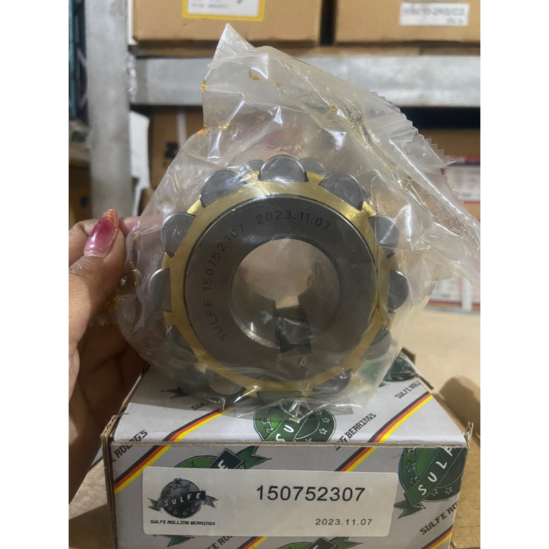 150752307 Bearing Double Row Eccentric Bearing