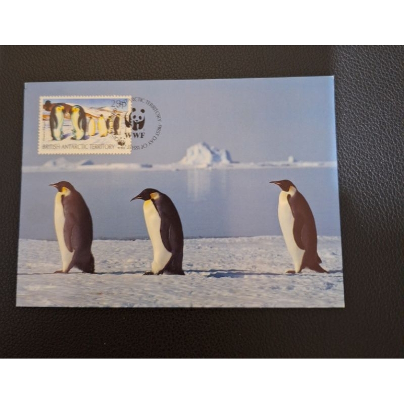 

kartu pos maxi Pengin/Penguin maxi card postcard