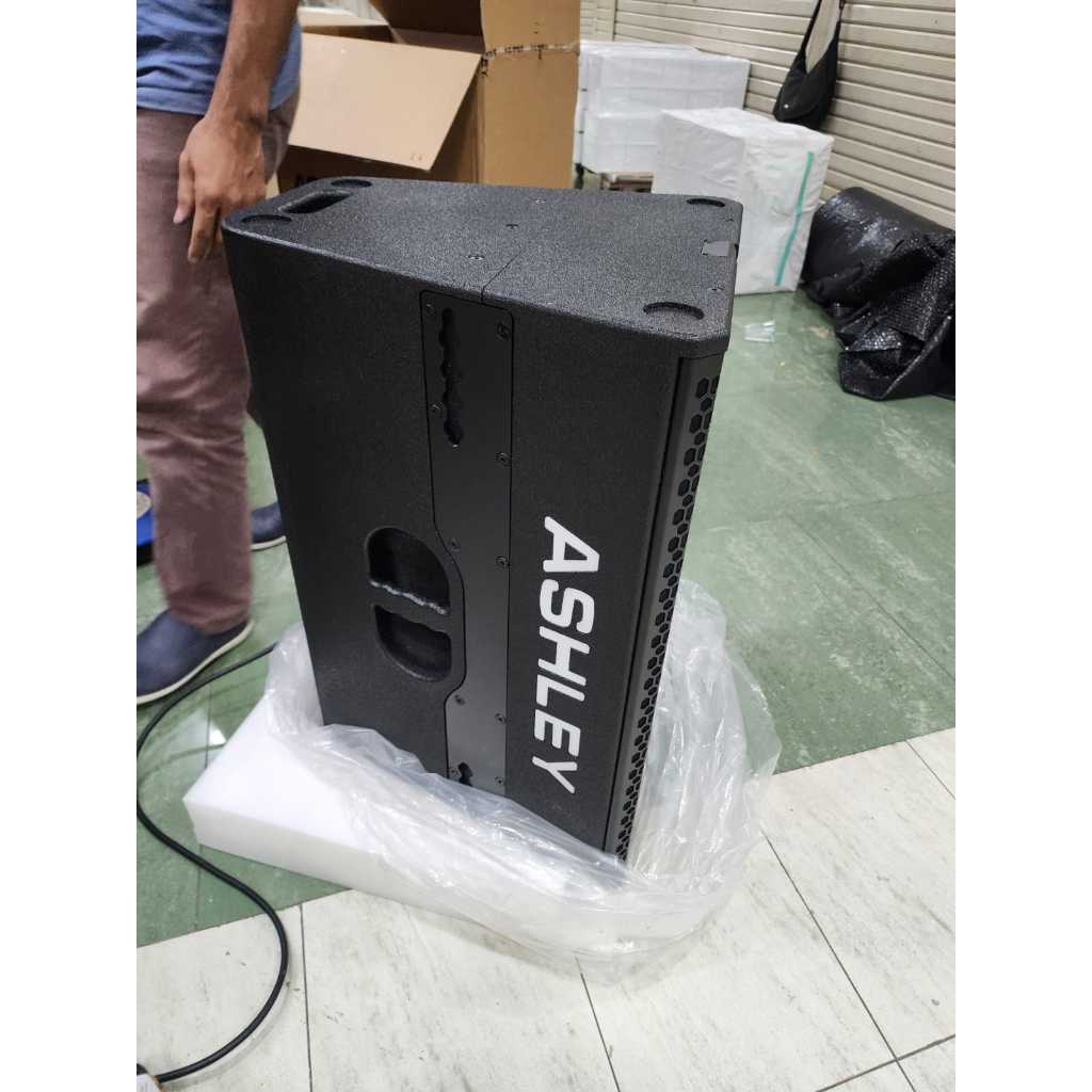 Speaker Pasif Ashley T24Fs / T24 FS / T 24FS – Ferrite Magnet Version 12Inch ( 1 Unit )