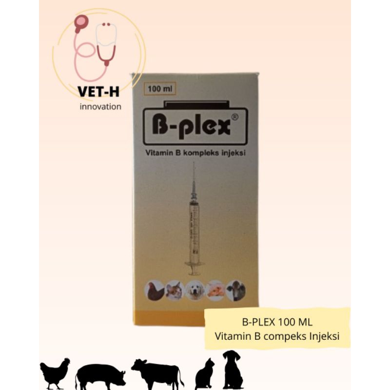 B-PLEX 100 ML Vitamin B Compleks Injeksi