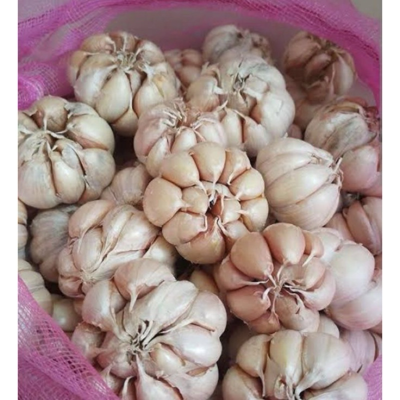 

bawang putih promo 1kg fresh dan segar berkualitas