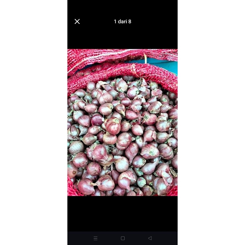 

bawang merah