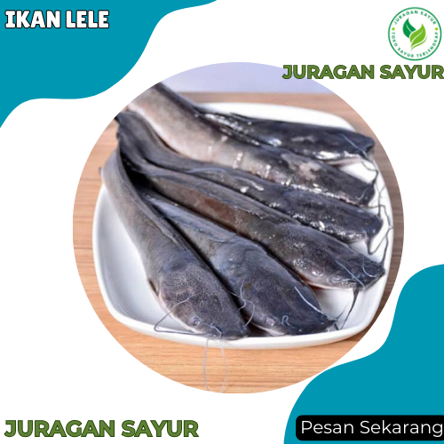 

Ikan Lele 1 kg - Ikan Lele Segar 1kg - Ikan Segar Lele - Juragan Sayur