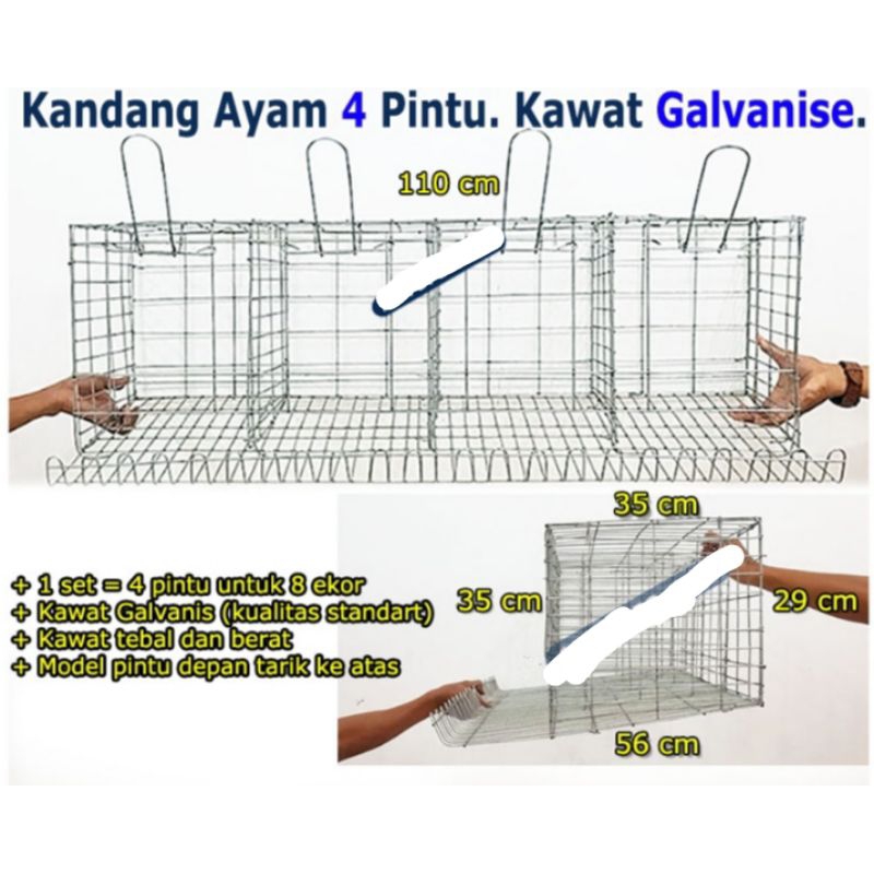 kandang ayam galvanis untuk ternak skala rumahan 4pintu isi 4ekor