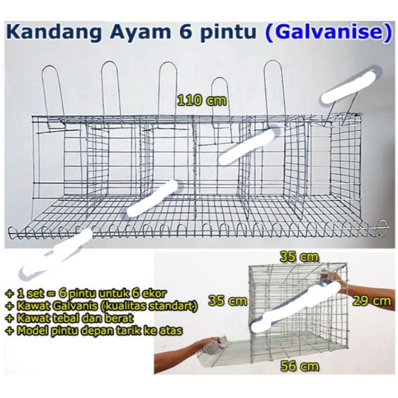 kandang ayam galvanis untuk ternak skala rumahan pintu4 isi4 ekor ayam