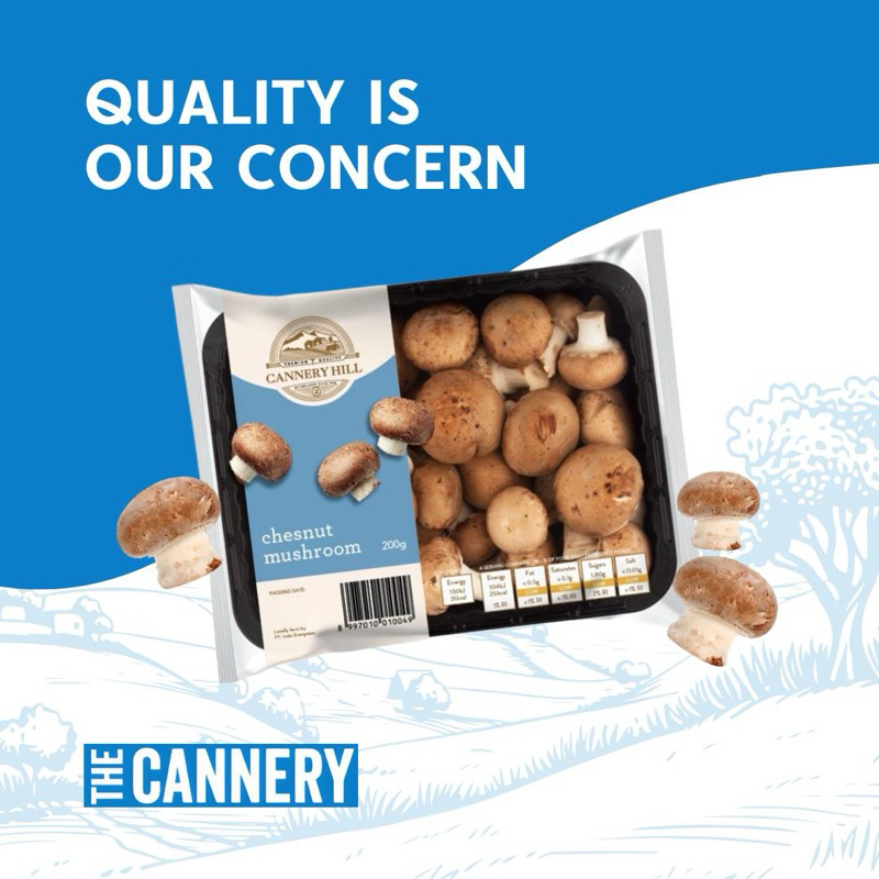 

JAMUR CHESNUT PREMIUM CANNERY EATS MUSHROOM SEHAT SEGAR FRESH