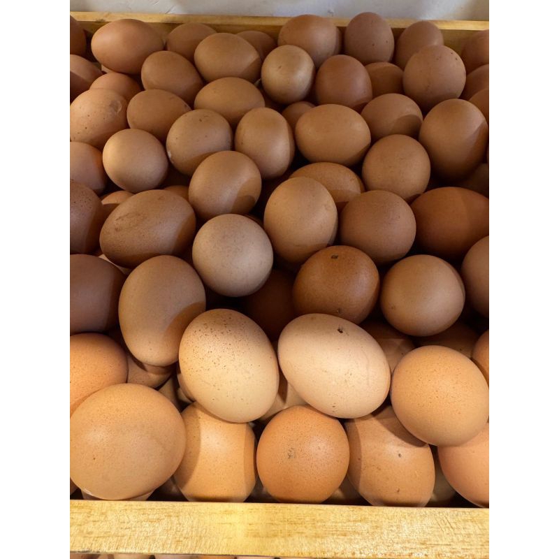 

Telur ayam Omega 1kg