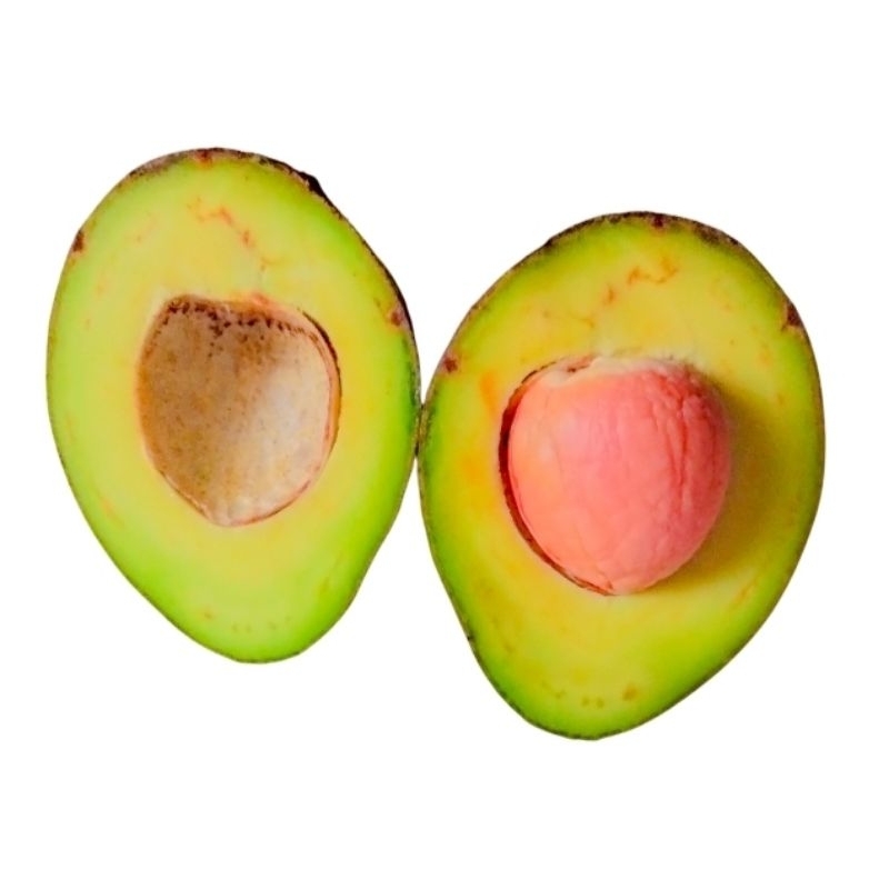 

Alpukat mentega fresh kuning tua 1KG