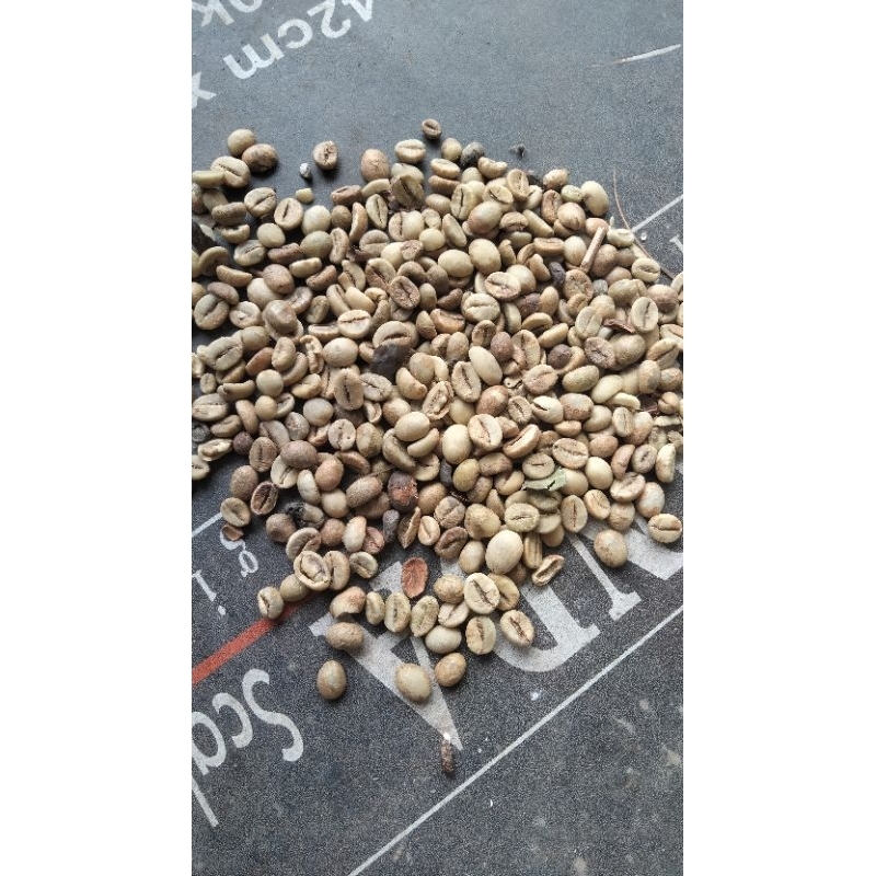 

kopi robusta asli Pati. yg belum di proses menjadi bubuk 1kg