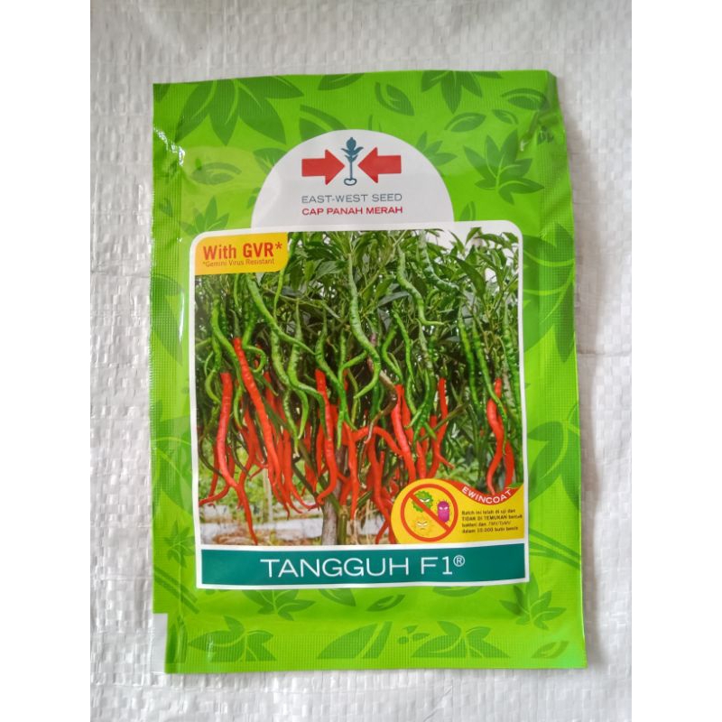benih CABAI TANGGUH F1/BENIH CABAI MERAH KERITING