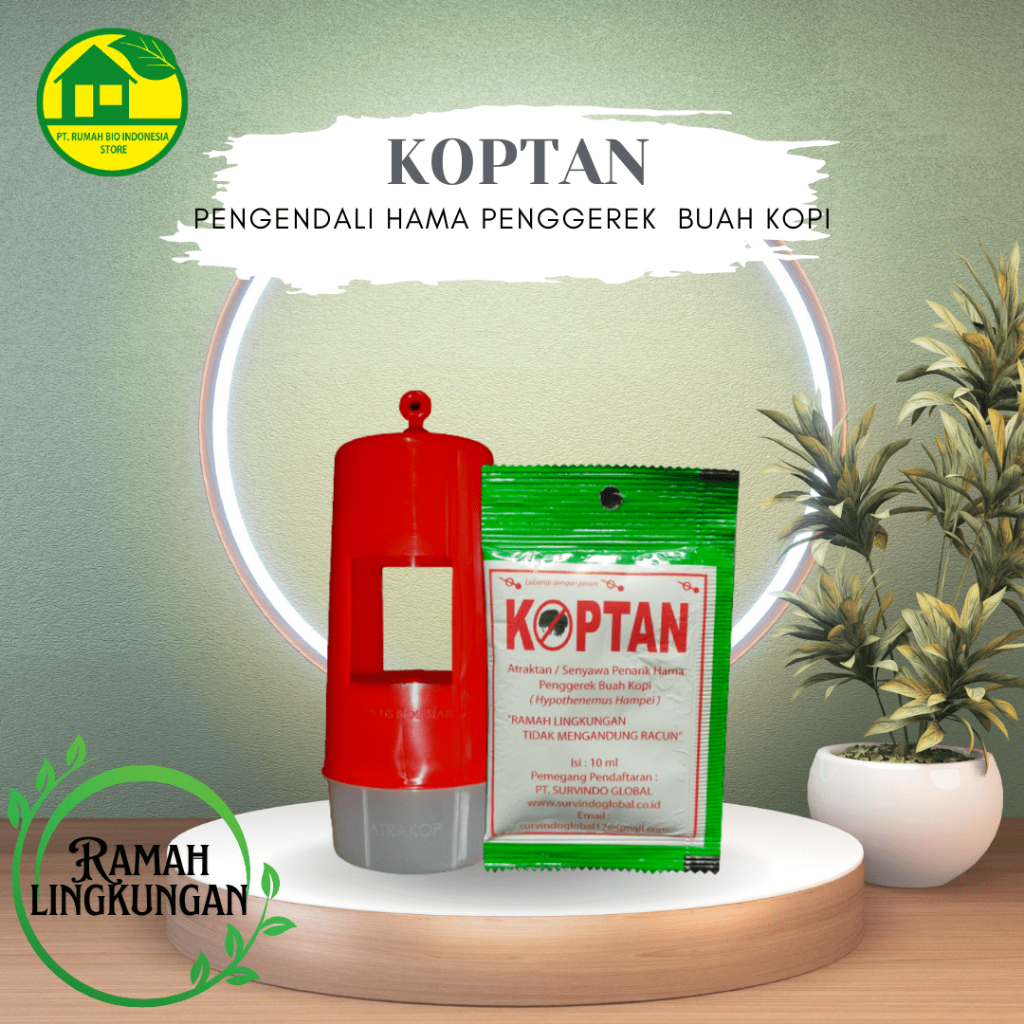 Perangkap pengendali hama penggerek buah kopi koptan