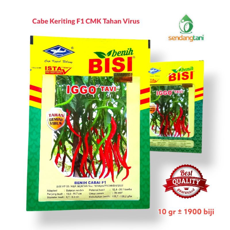 Benih Cabe IGGO F1 Tavi Tahan Virus Bibit CMK Cabai Keriting Cap Kapal Terbang