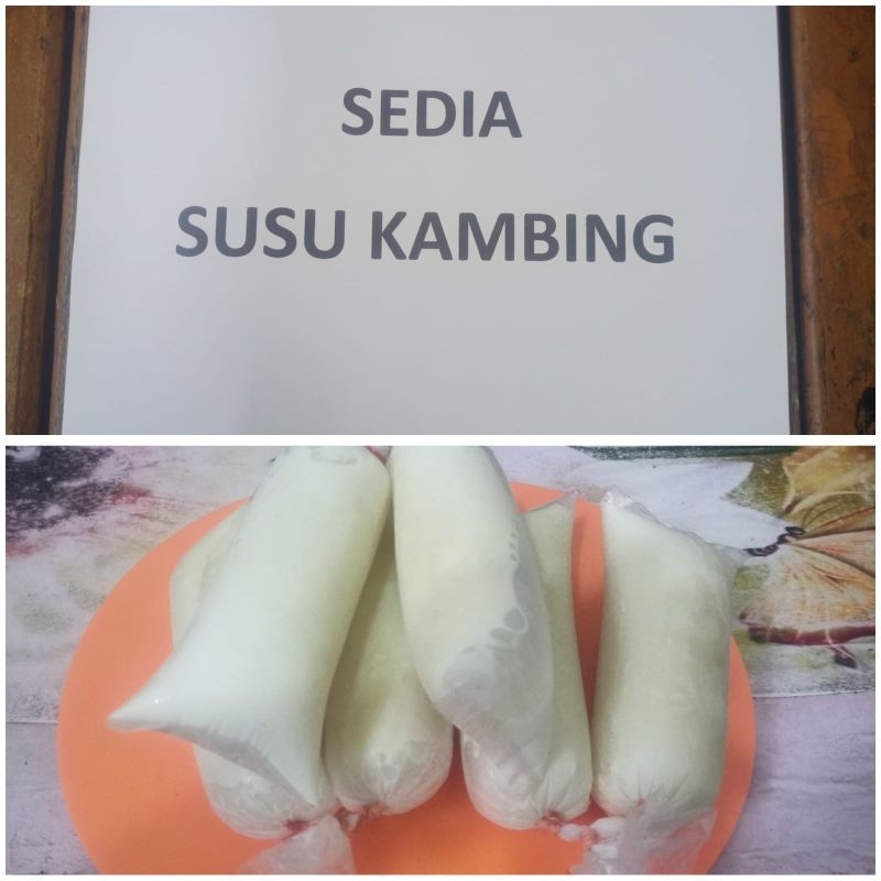 

Susu Kambing Murni langsung sumbernya