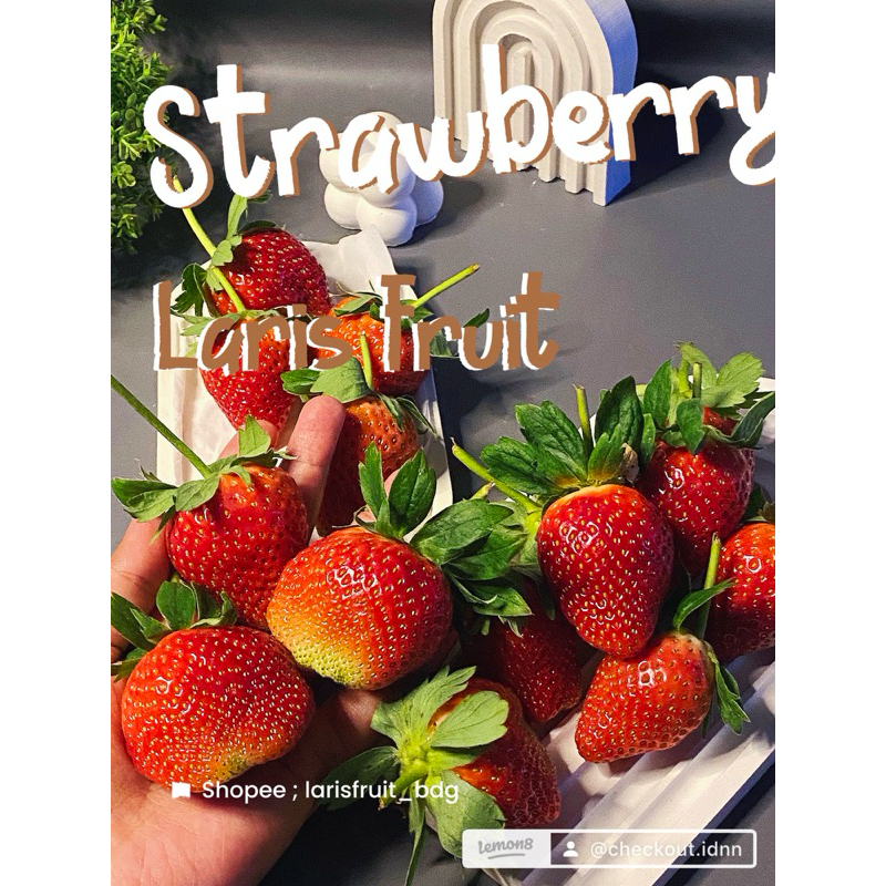 

strawberry fresh mix 1Kg