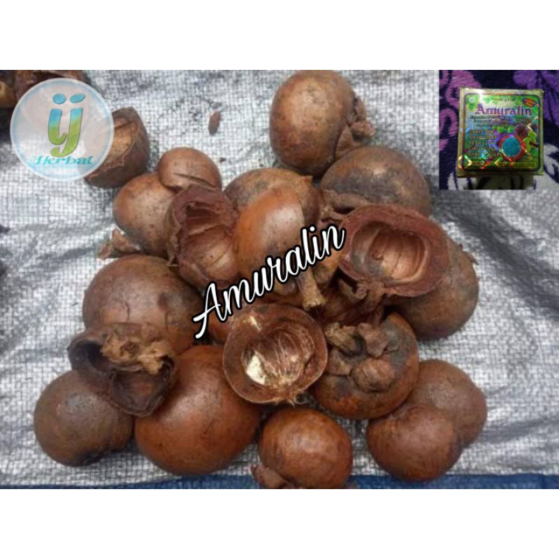 

Buah manggis kering(A)