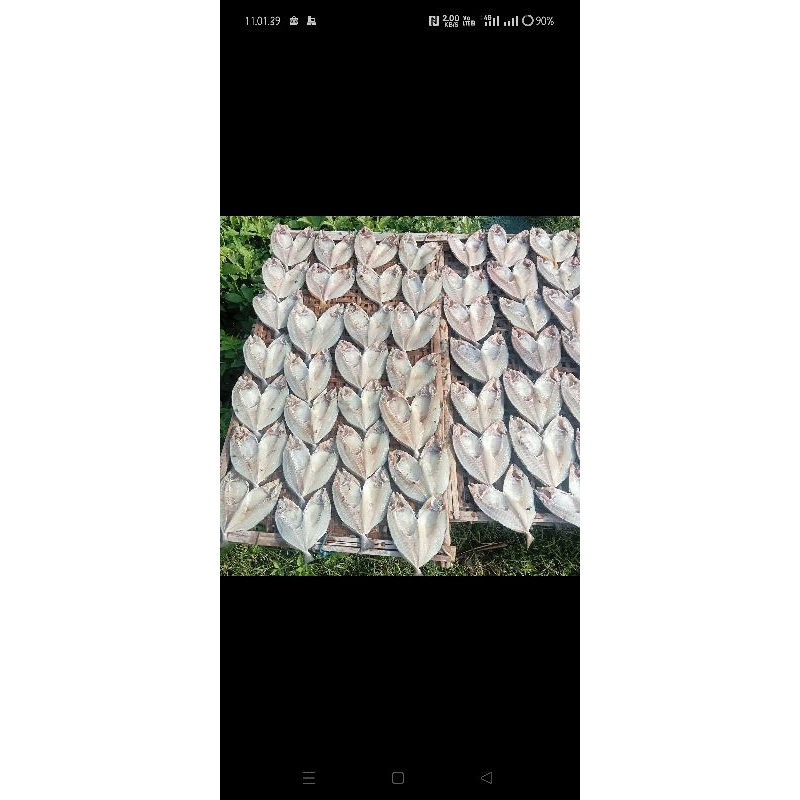 

ikan kering buat lauk