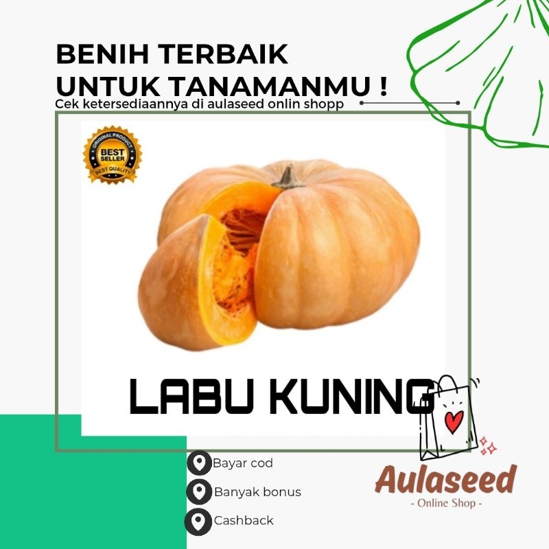 benih biji labu waluh 1 kg