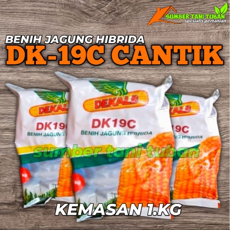BENIH JAGUNG HIBRIDA DK-19C CANTIK KEMASAN 1.KG