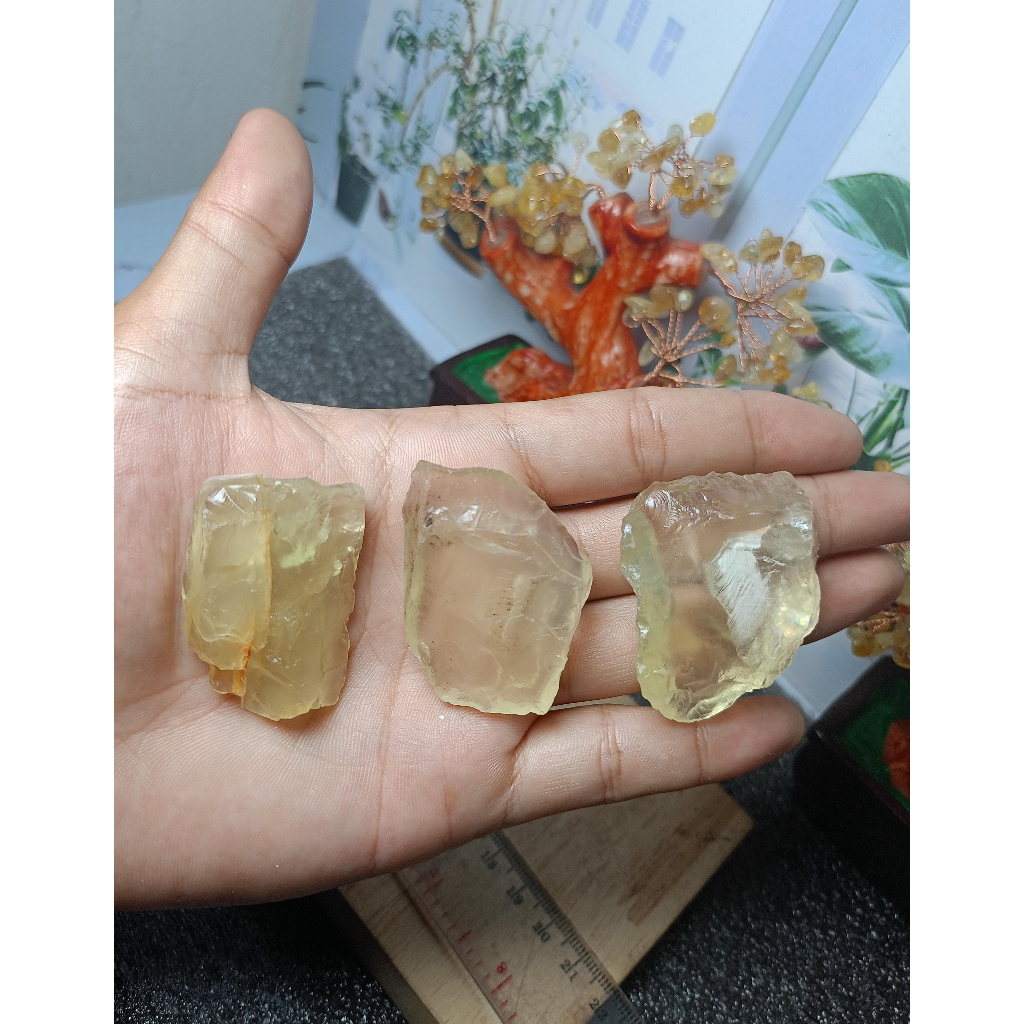 Rough Citrine Gemmy (16)