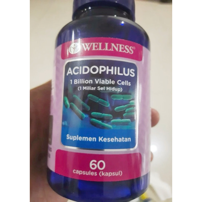 Wellness Acidophilus - 60 Capsules