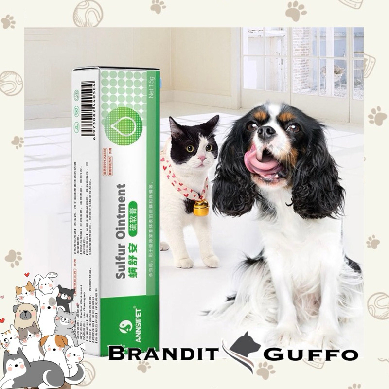 Sulfur ointment obat jamur kuping anjing kucing salep jamur kulit anjing kucing pembunuh tungau kutu