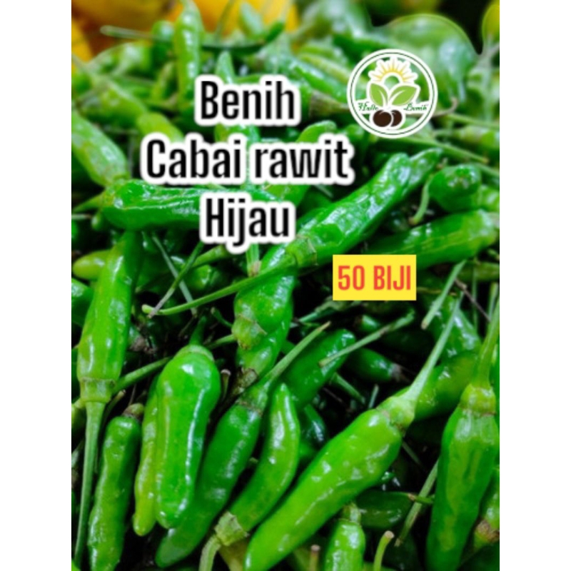 50 BIJI~BENIH CABAI RAWIT HIJAU