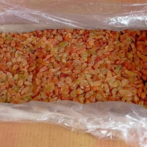 

Kismis oleh oleh haji dan umroh kismis golden raisin 1 kg
