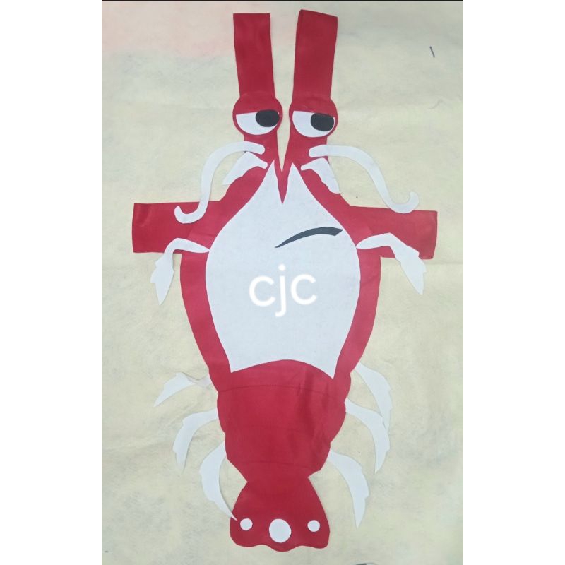 RB kostum karakter /kostum flanel/kostum karnaval karakter hewan laut